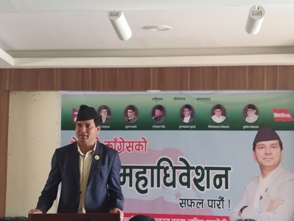 ७२ प्रतिशत क्रियाशील नवीकरण भइसक्यो : स्नेही 